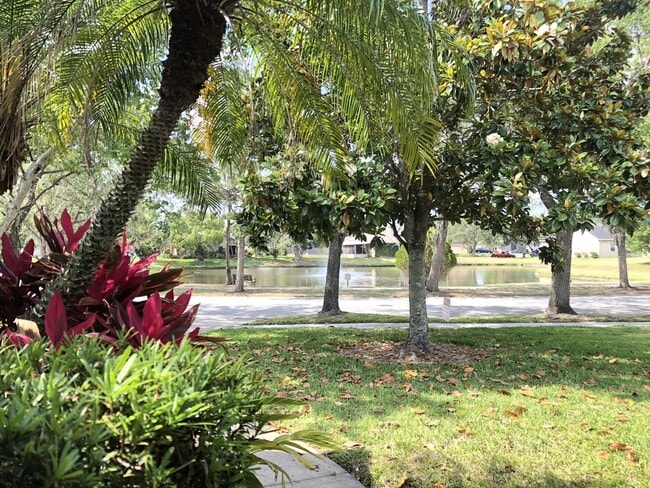 13568 Dornoch Dr in Orlando, FL - Foto de edificio - Building Photo