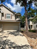 114 N Camellia Grove Cir in Spring, TX - Building Photo