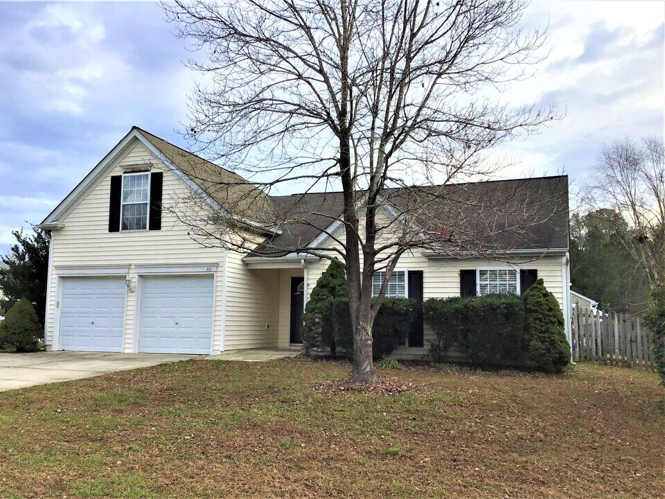 201 Yellow Jasmine Path in Apex, NC - Building Photo