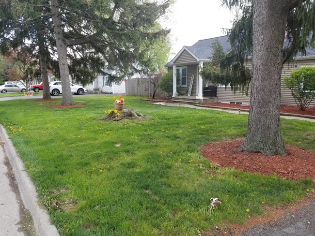 2321 Parkrose St in Crest Hill, IL - Building Photo - Building Photo