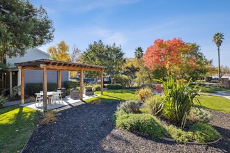 Vineyard Gardens in Santa Rosa, CA - Foto de edificio - Building Photo