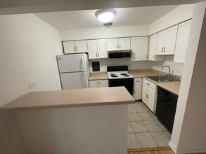 420 W Aldine Ave in Chicago, IL - Building Photo - Building Photo