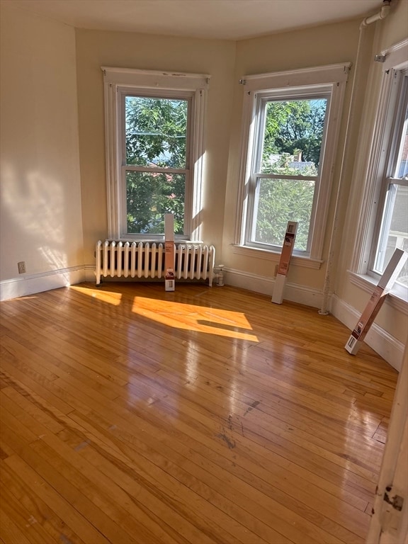40 Orne St in Worcester, MA - Building Photo - Building Photo
