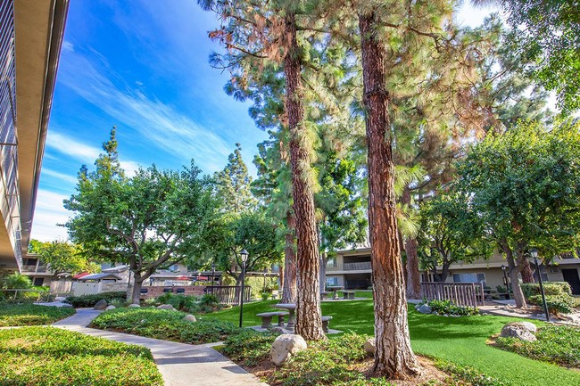 Saddleback Pines Apartment Homes photo'