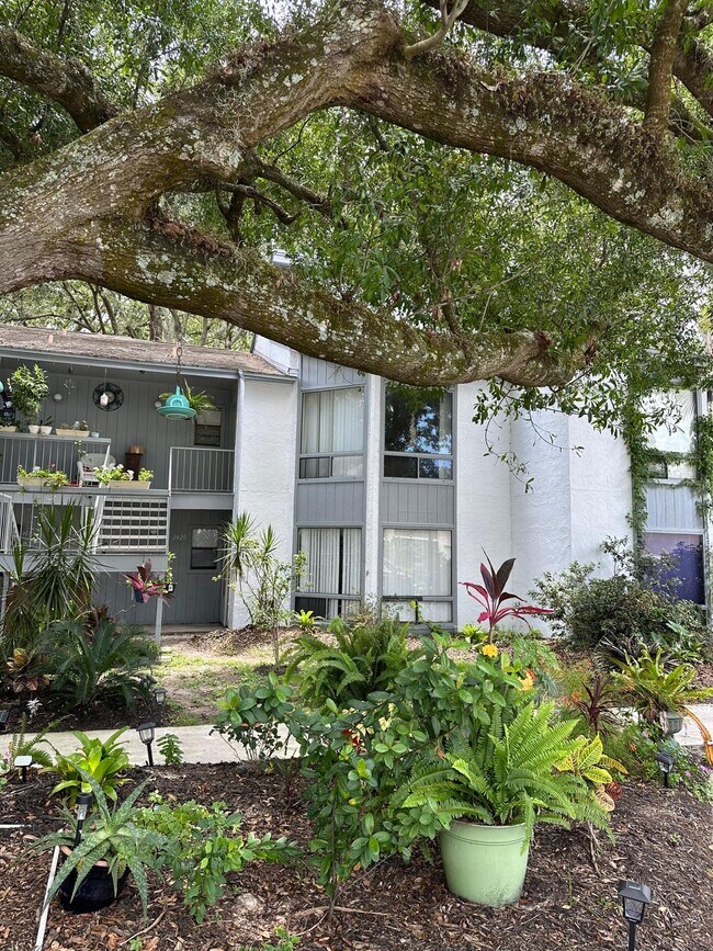2420 Lemon Tree Ln in Orlando, FL - Building Photo - Building Photo