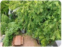 821 N Franklin St photo'