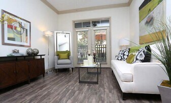 3838 N Braeswood Blvd in Houston, TX - Building Photo