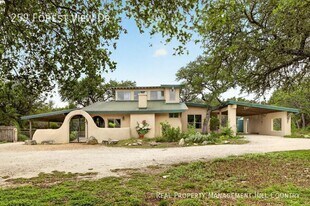 259 Forest View Dr in Blanco, TX - Building Photo
