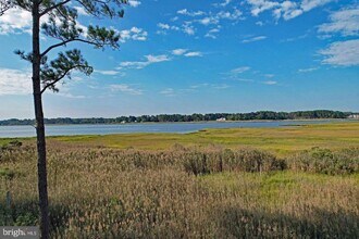 34903 W Love Dr in Lewes, DE - Building Photo - Building Photo