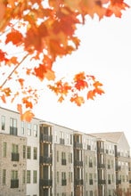 NOVEL Mallard Creek by Crescent Communities in Charlotte, NC - Building Photo - Building Photo