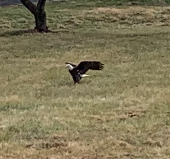 8914 Watkins Rd photo'