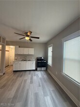 8801 Platten Ave in Cleveland, OH - Building Photo - Building Photo