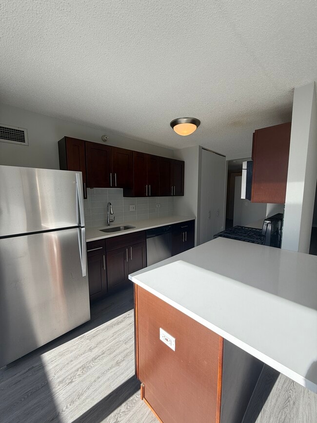 509 N Dearborn St in Chicago, IL - Building Photo - Building Photo