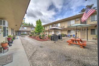 Driftwood Apartment in Concord, CA - Building Photo - Building Photo