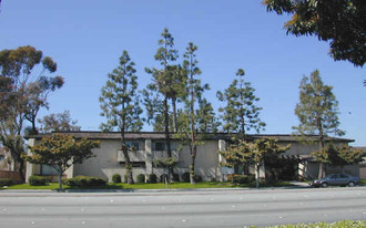 Brookhurst Pines Apartments