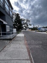 126 3rd Ave N in Safety Harbor, FL - Building Photo