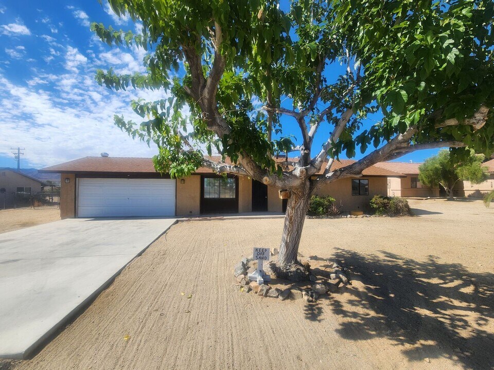 74203 Cactus Dr in Twentynine Palms, CA - Building Photo