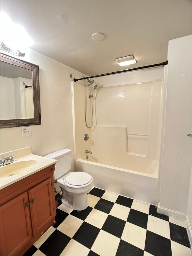 199 Mount Auburn St, Unit 1 in Cambridge, MA - Building Photo - Building Photo