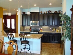 11428 Quiet Forest Dr in Tampa, FL - Building Photo - Building Photo