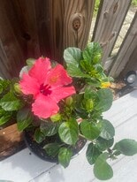 3394 W Wyoming Cir in Tampa, FL - Building Photo