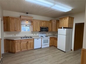 216 Birch Ave S in Maple Lake, MN - Building Photo - Building Photo