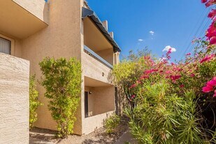 1201 S McClintock Dr in Tempe, AZ - Building Photo