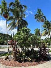 161 SW 52nd Ct in Coral Gables, FL - Foto de edificio - Building Photo