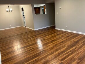 207 W Park Ave in Libertyville, IL - Building Photo - Building Photo