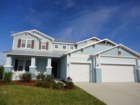 5331 Sandy Shell Dr in Apollo Beach, FL - Building Photo