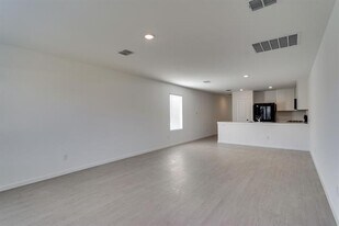 3028 Burmese St in Providence Village, TX - Building Photo