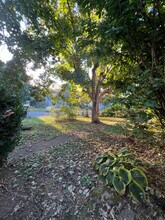 2610 Flamingo Dr in Nashville, TN - Building Photo - Building Photo
