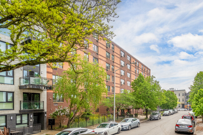 55 Goodwin Place Housing For the Elderly in Brooklyn, NY - Building Photo - Building Photo