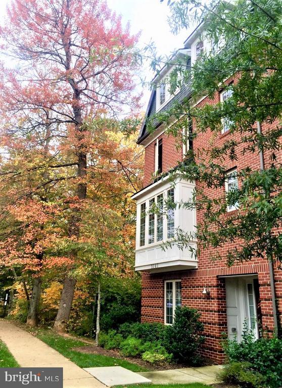 3141 Blue Barn Way in Fairfax, VA - Foto de edificio - Building Photo