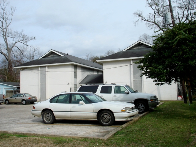 317 East Drive Apartments in Baton Rouge, LA - Building Photo - Building Photo