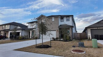 16993 Juniper Blossom Bnd in Conroe, TX - Building Photo