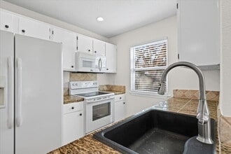 303 Fantail Loop in Austin, TX - Foto de edificio - Building Photo