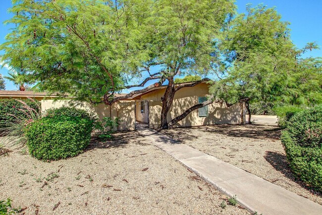 12228 N 64th St in Scottsdale, AZ - Building Photo - Building Photo