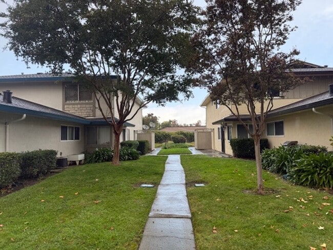 257 Watson Dr in Campbell, CA - Building Photo - Building Photo