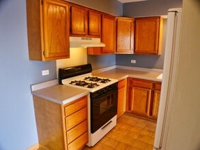 4827 W 109th St in Oak Lawn, IL - Building Photo - Building Photo