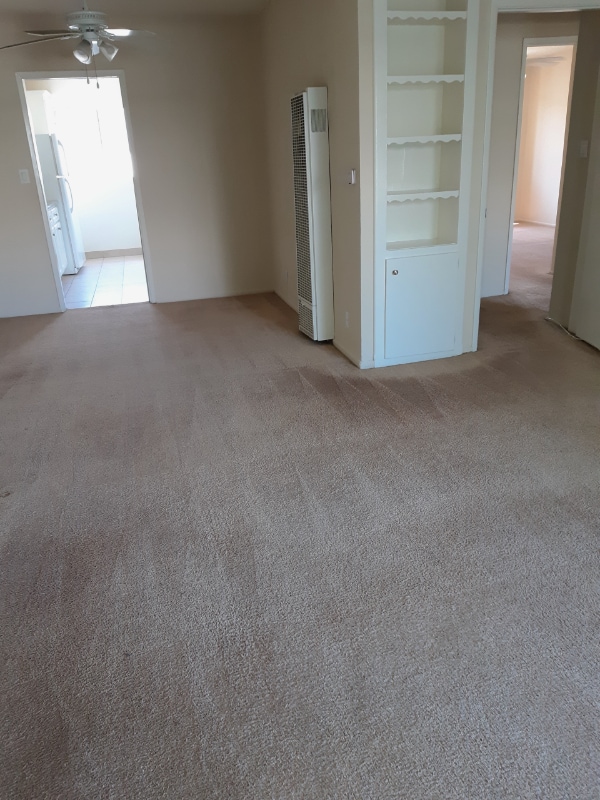 4450 Murietta Ave in Los Angeles, CA - Building Photo - Building Photo