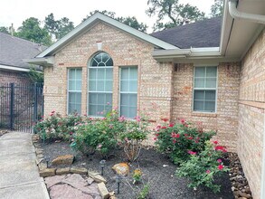 42 W Foxbriar Forest Cir in Spring, TX - Building Photo - Building Photo