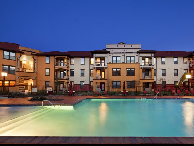 Golden Bamboo III Photo