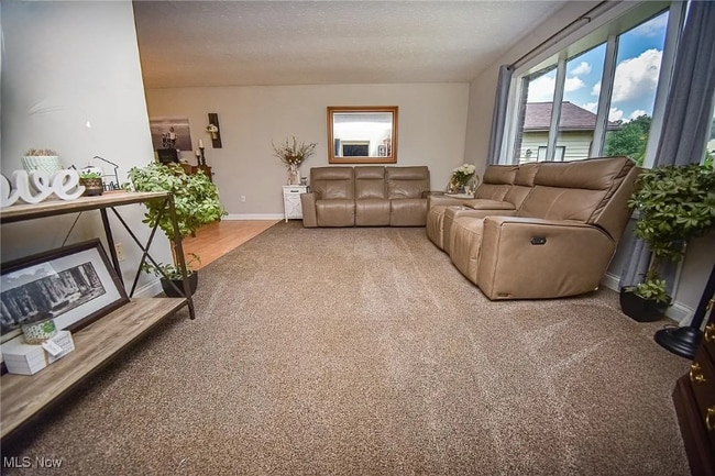 10266 Huntington Park Dr in Strongsville, OH - Building Photo - Building Photo