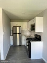 262 E Cliveden St in Philadelphia, PA - Building Photo