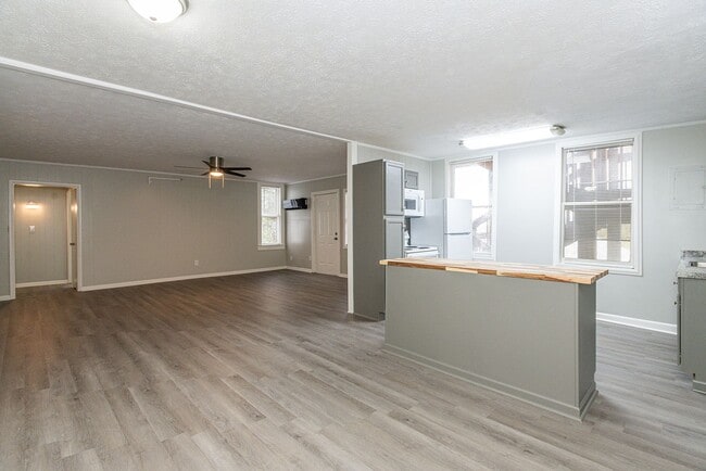 309 S Magnolia St in Maryville, TN - Building Photo - Building Photo