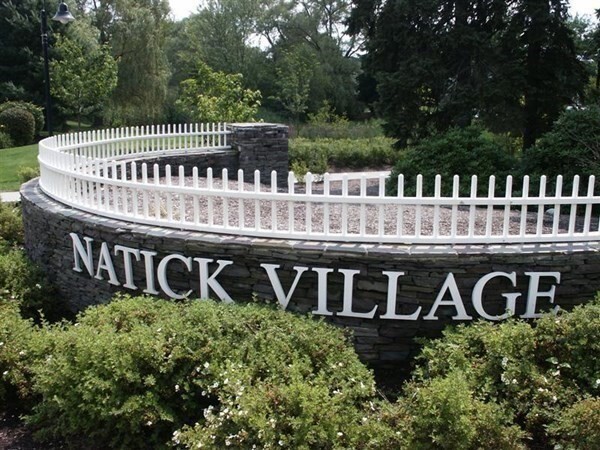 6 Village Rock Ln in Natick, MA - Building Photo