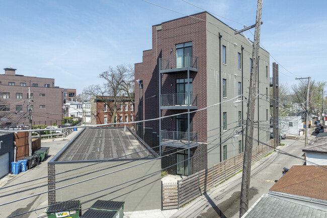 3653 W Barry Ave in Chicago, IL - Building Photo - Building Photo