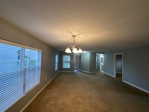 11120 Silver Fern Way in Riverview, FL - Building Photo - Building Photo