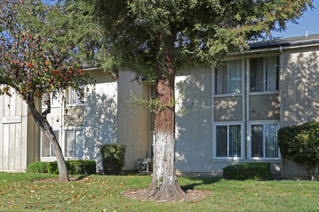 Oakwood Apartments II in Ivanhoe, CA - Building Photo - Building Photo