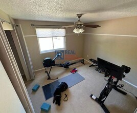 831 Winchester Dr in Fort Collins, CO - Building Photo - Building Photo